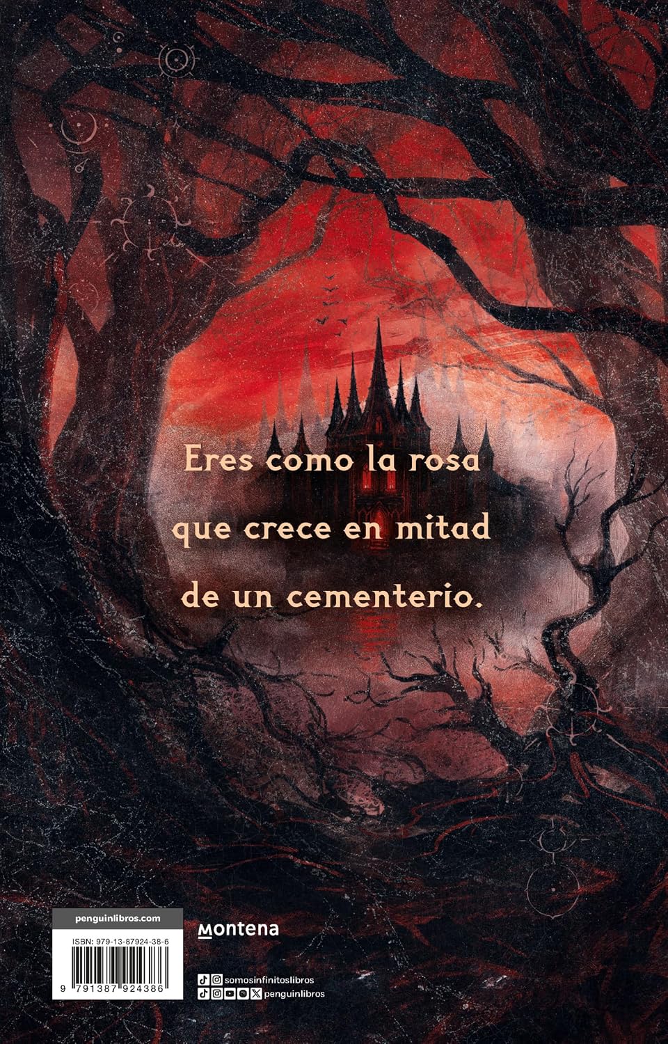 Alchemised (edición coleccionista limitada) - SenLin Yu